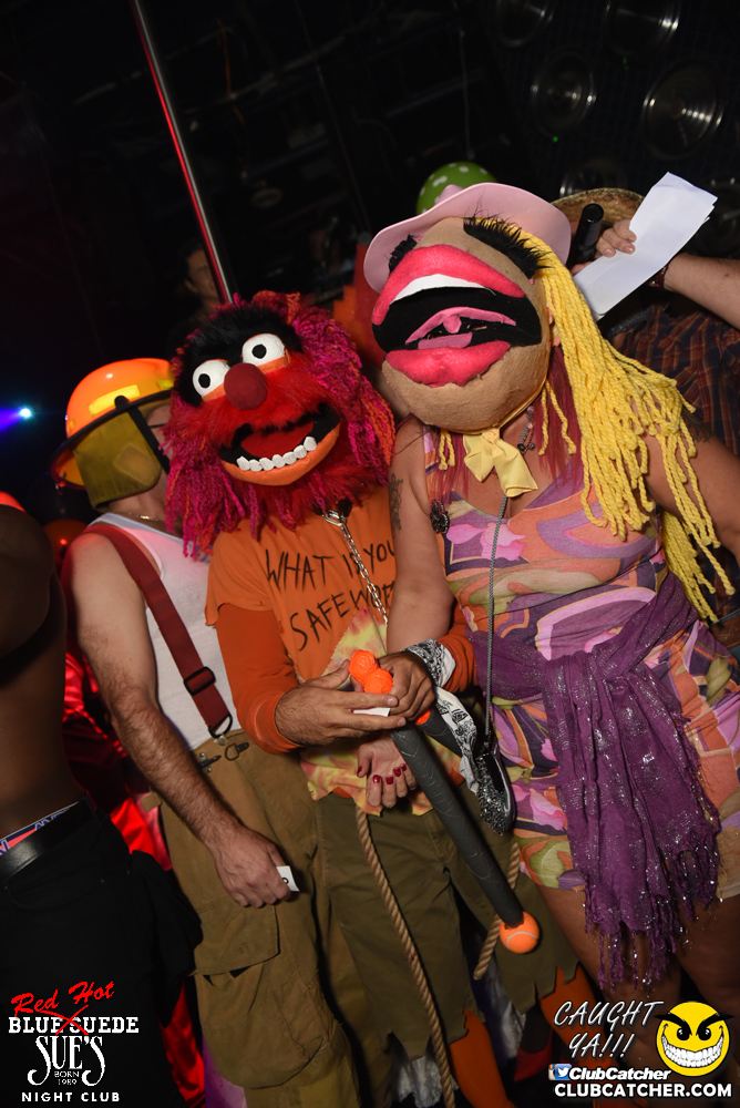 Blue Suede Sues nightclub photo 183 - October 29th, 2016