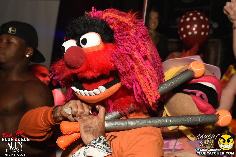 Blue Suede Sues nightclub photo 295 - October 29th, 2016