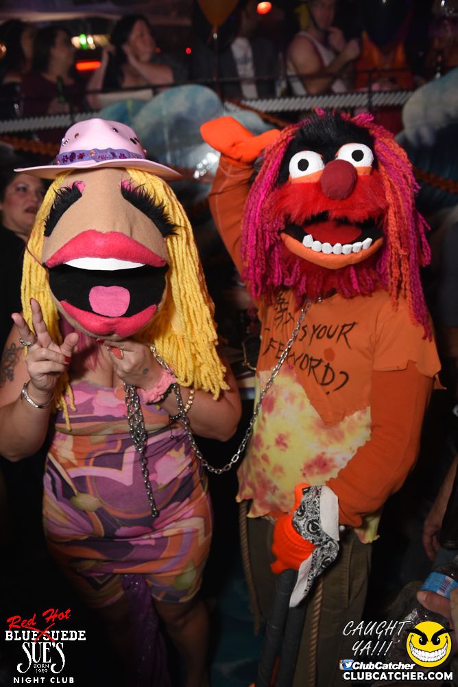 Blue Suede Sues nightclub photo 4 - October 29th, 2016