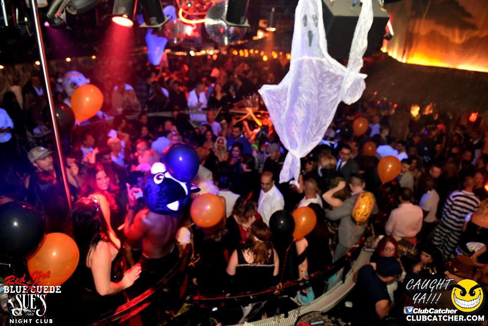 Blue Suede Sues nightclub photo 35 - October 29th, 2016