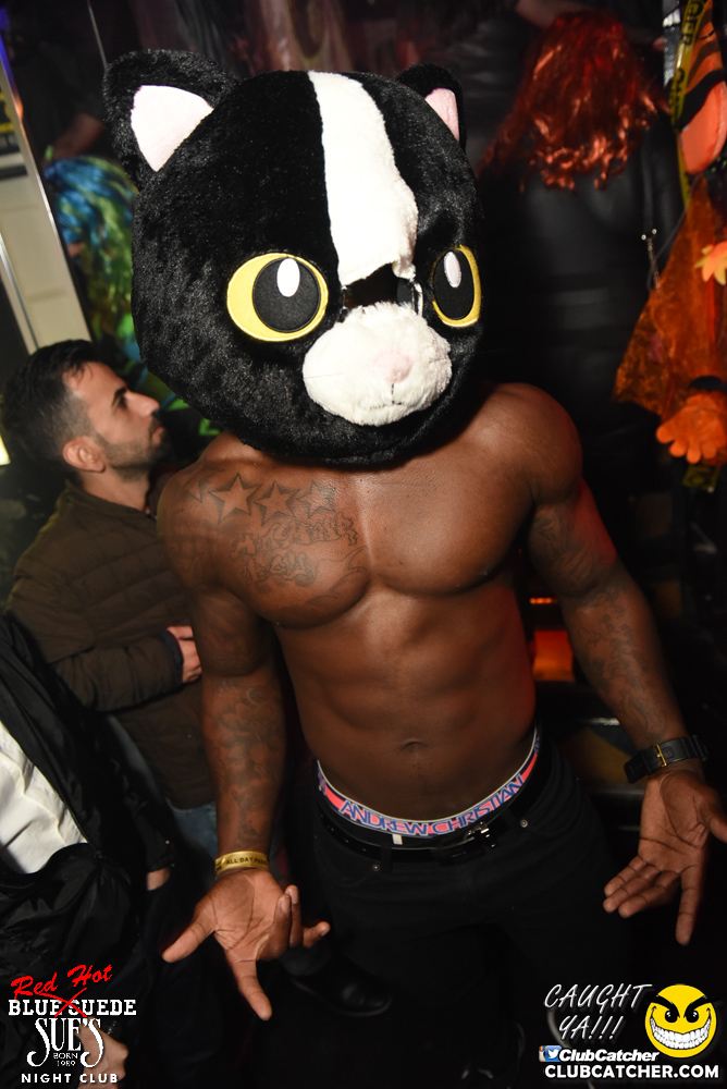 Blue Suede Sues nightclub photo 56 - October 29th, 2016