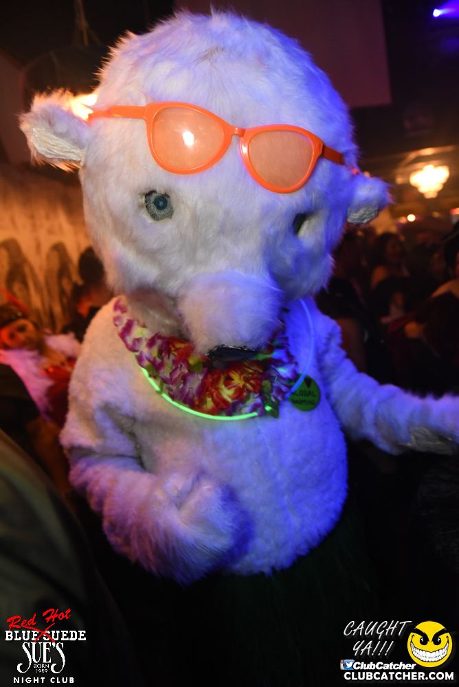 Blue Suede Sues nightclub photo 59 - October 29th, 2016