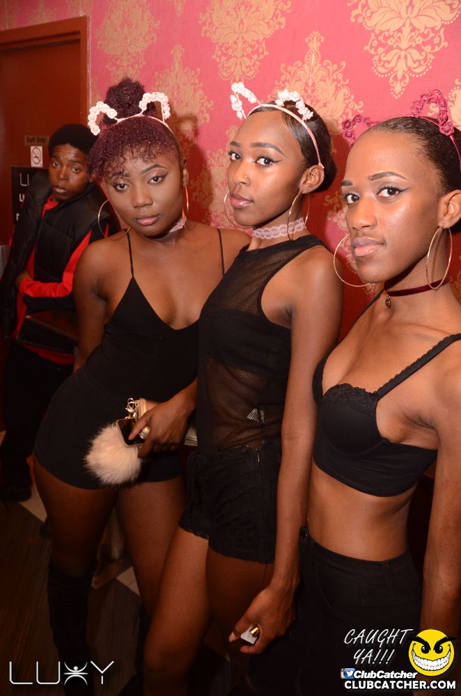 Luxy nightclub photo 55 - October 29th, 2016