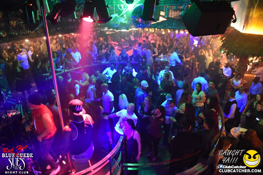 Blue Suede Sues nightclub photo 1 - November 5th, 2016
