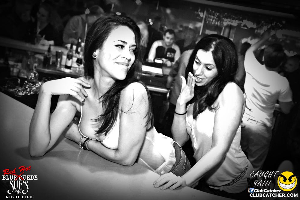 Blue Suede Sues nightclub photo 11 - November 5th, 2016