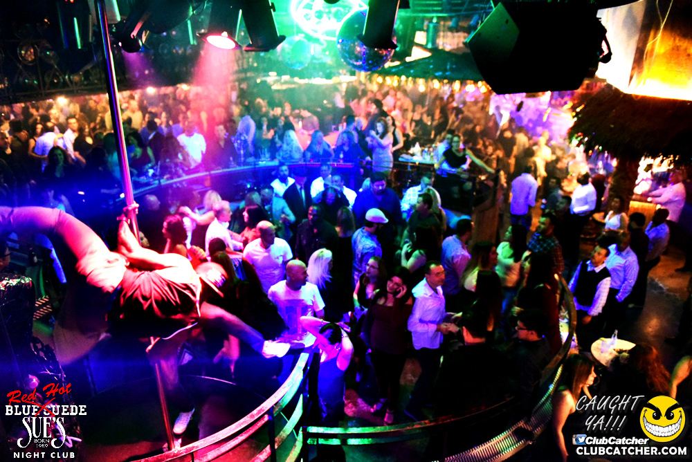 Blue Suede Sues nightclub photo 190 - November 5th, 2016