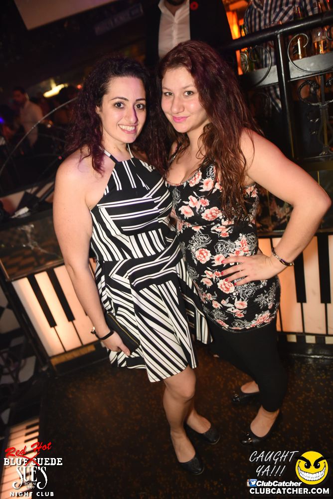 Blue Suede Sues nightclub photo 6 - November 5th, 2016