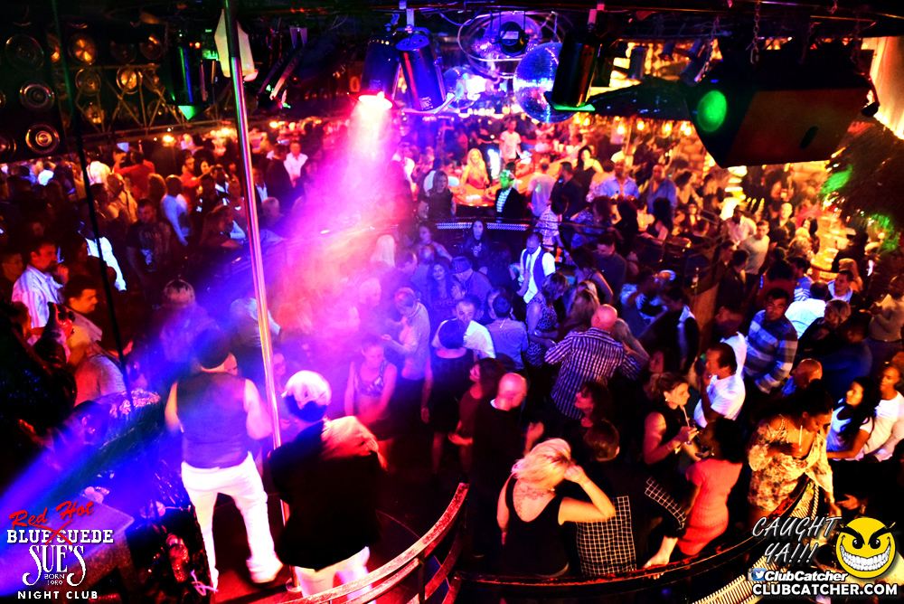 Blue Suede Sues nightclub photo 1 - November 12th, 2016
