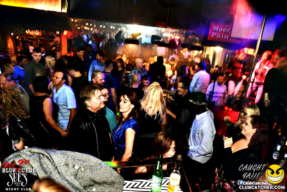 Blue Suede Sues nightclub photo 134 - November 12th, 2016