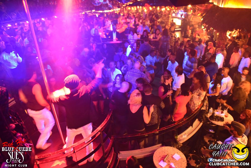 Blue Suede Sues nightclub photo 201 - November 12th, 2016