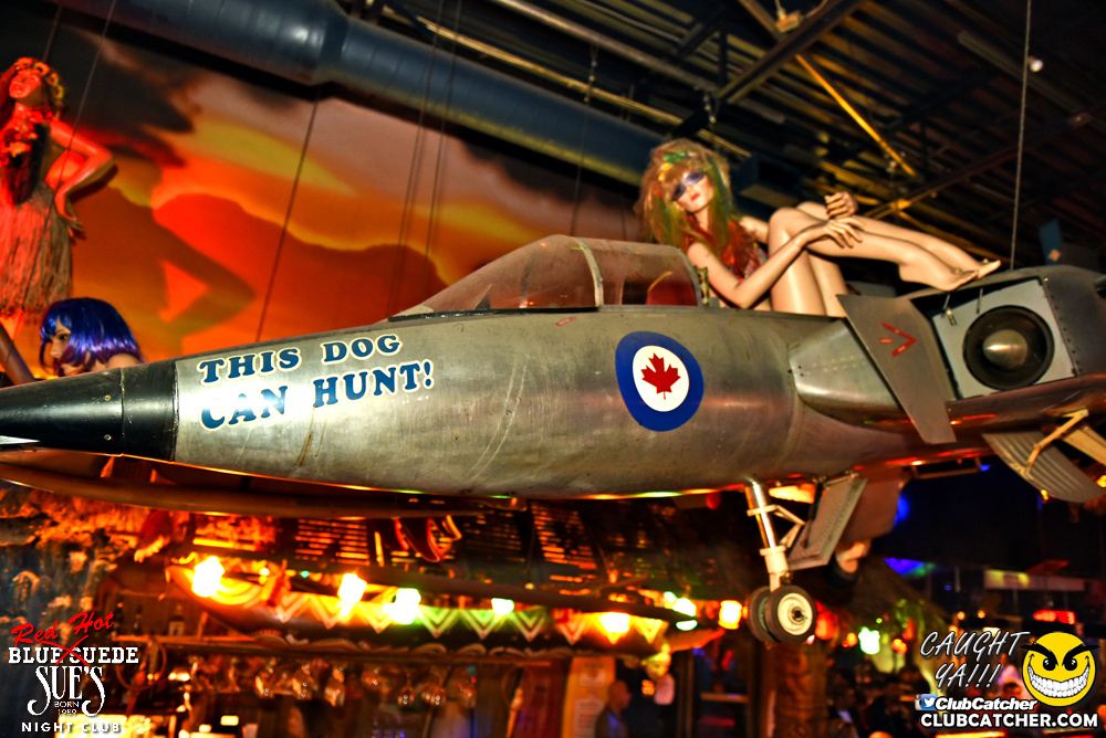 Blue Suede Sues nightclub photo 212 - November 12th, 2016