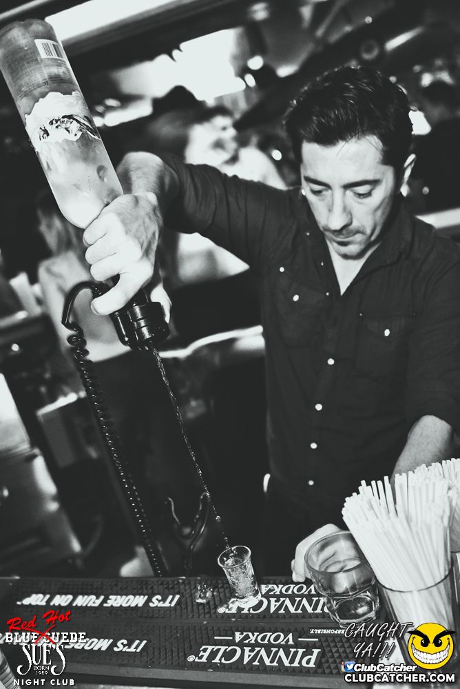 Blue Suede Sues nightclub photo 239 - November 12th, 2016