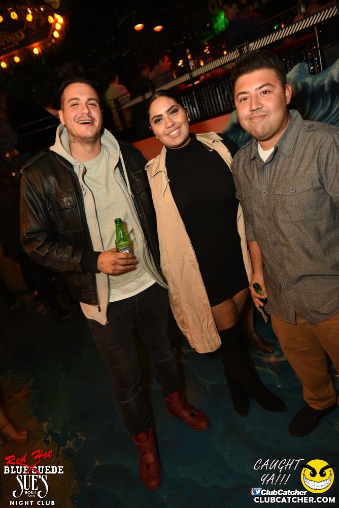 Blue Suede Sues nightclub photo 32 - November 12th, 2016
