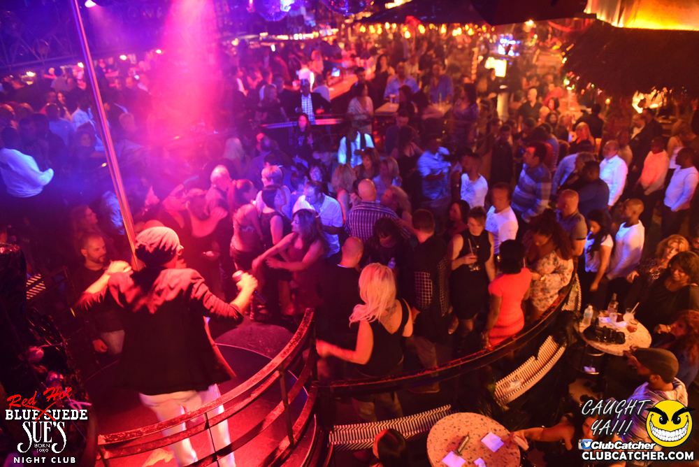 Blue Suede Sues nightclub photo 49 - November 12th, 2016