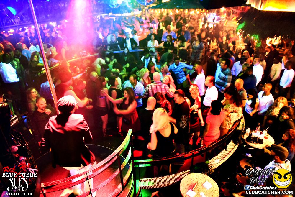 Blue Suede Sues nightclub photo 72 - November 12th, 2016