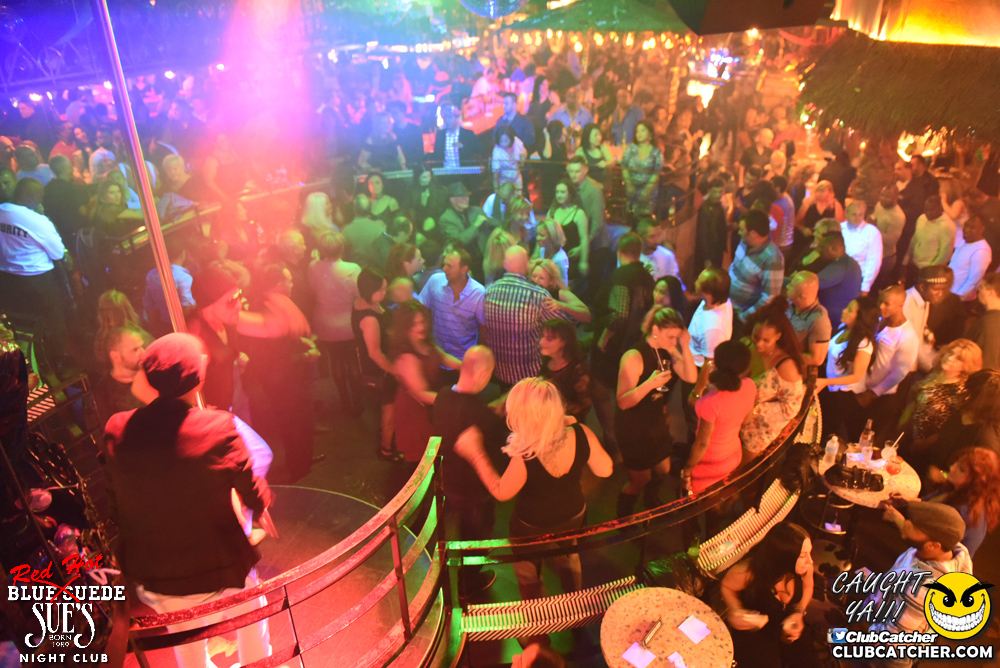 Blue Suede Sues nightclub photo 75 - November 12th, 2016