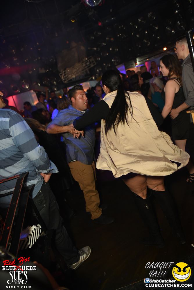 Blue Suede Sues nightclub photo 78 - November 12th, 2016