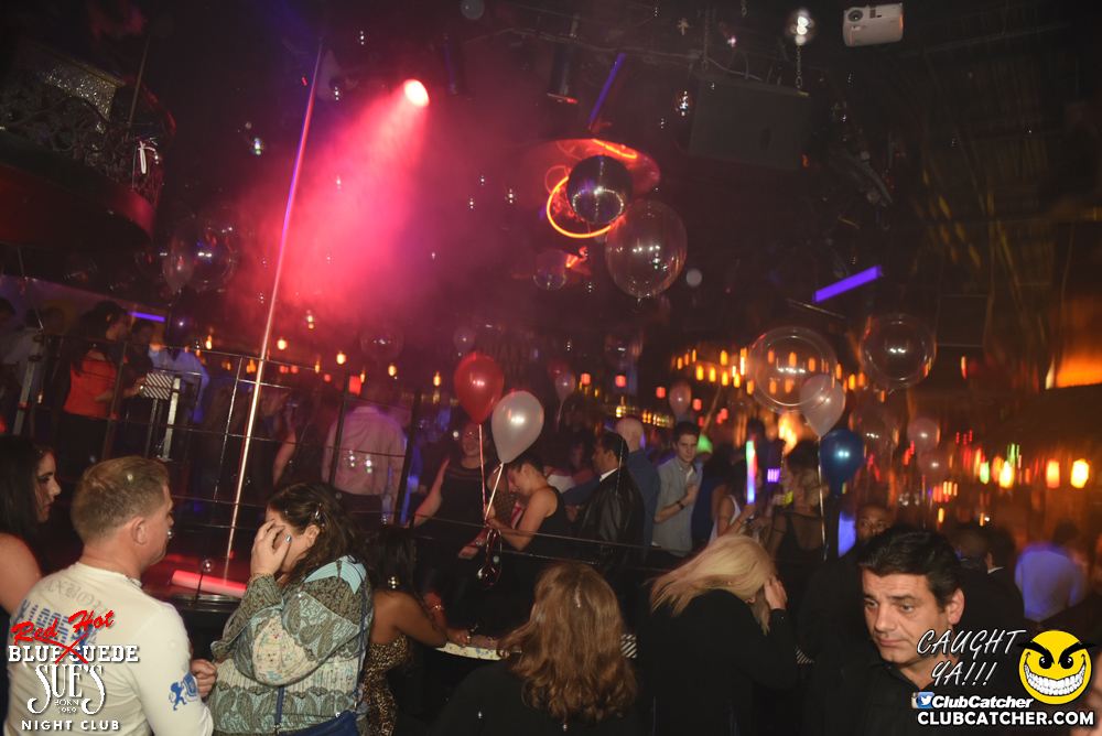 Blue Suede Sues nightclub photo 149 - November 25th, 2016