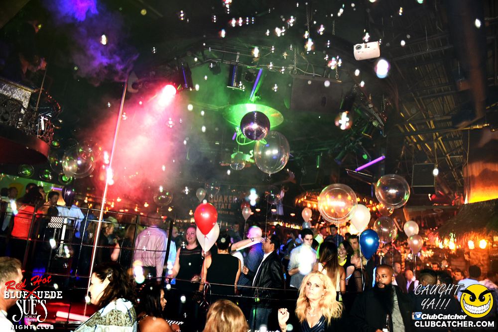 Blue Suede Sues nightclub photo 162 - November 25th, 2016