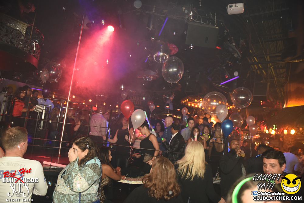 Blue Suede Sues nightclub photo 250 - November 25th, 2016