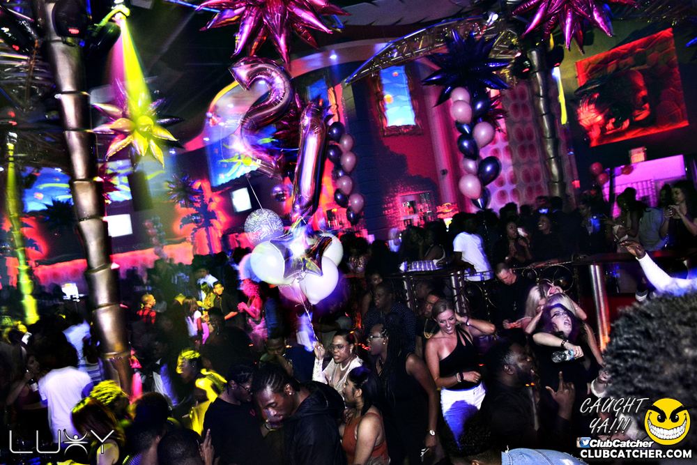 Luxy nightclub photo 149 - January 7th, 2017