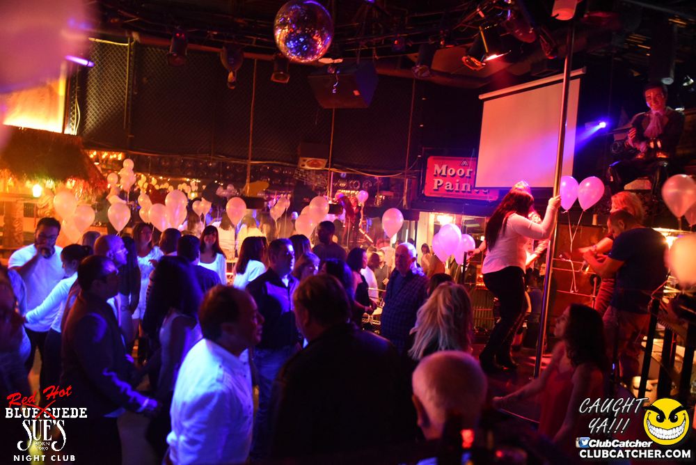 Blue Suede Sues nightclub photo 42 - January 13th, 2017