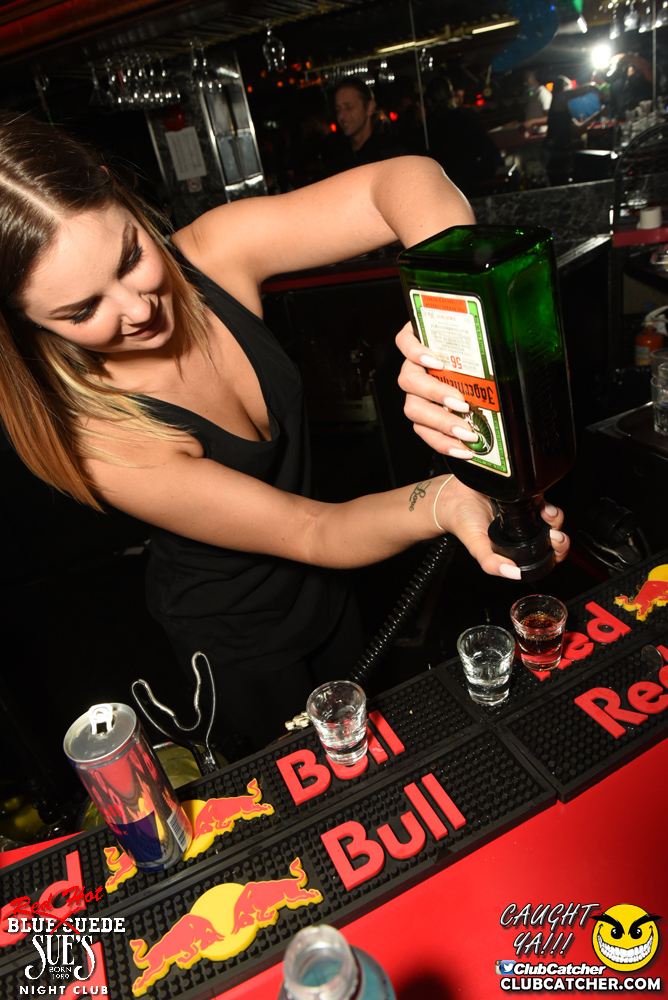 Blue Suede Sues nightclub photo 109 - February 17th, 2017