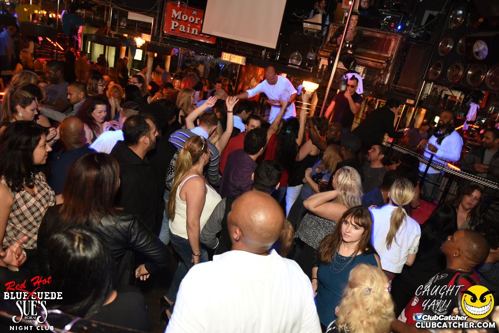 Blue Suede Sues nightclub photo 20 - February 17th, 2017