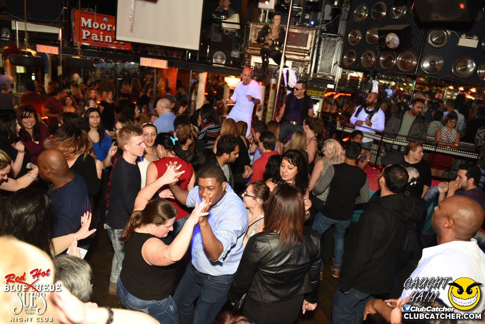 Blue Suede Sues nightclub photo 244 - February 17th, 2017