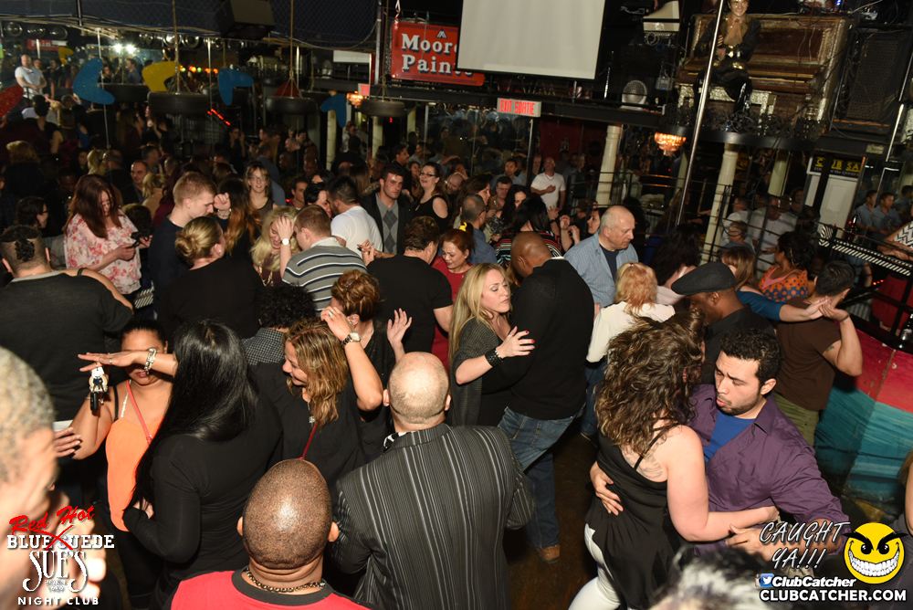Blue Suede Sues nightclub photo 42 - February 17th, 2017