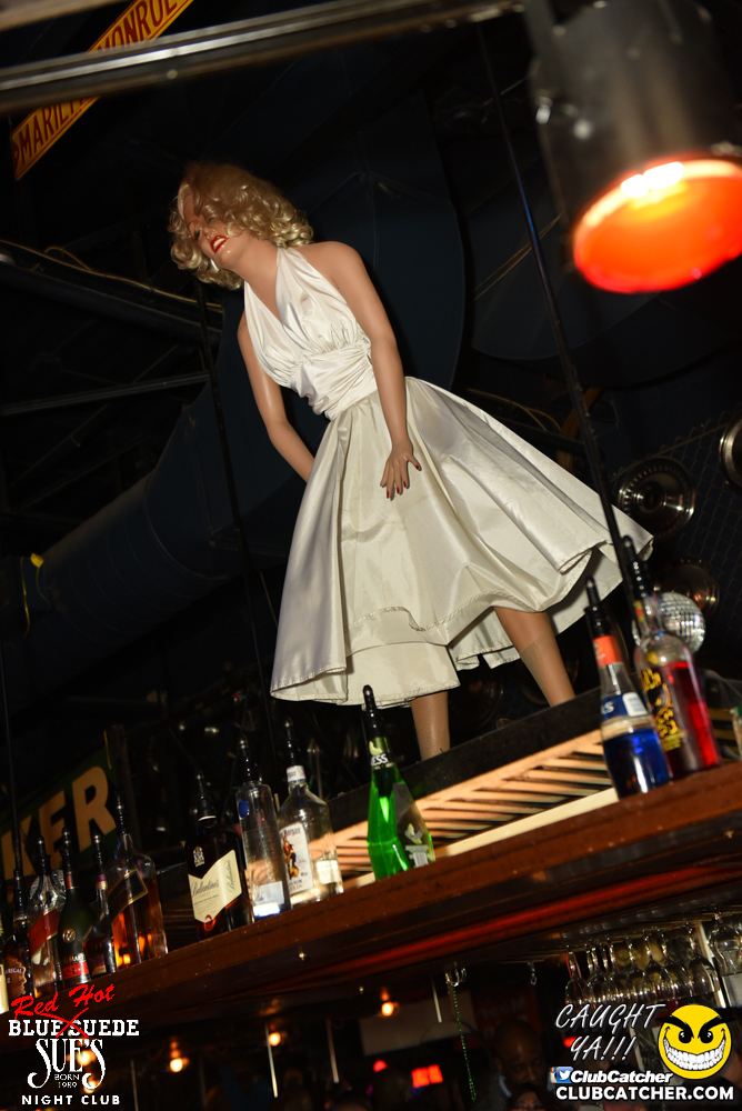 Blue Suede Sues nightclub photo 106 - February 18th, 2017