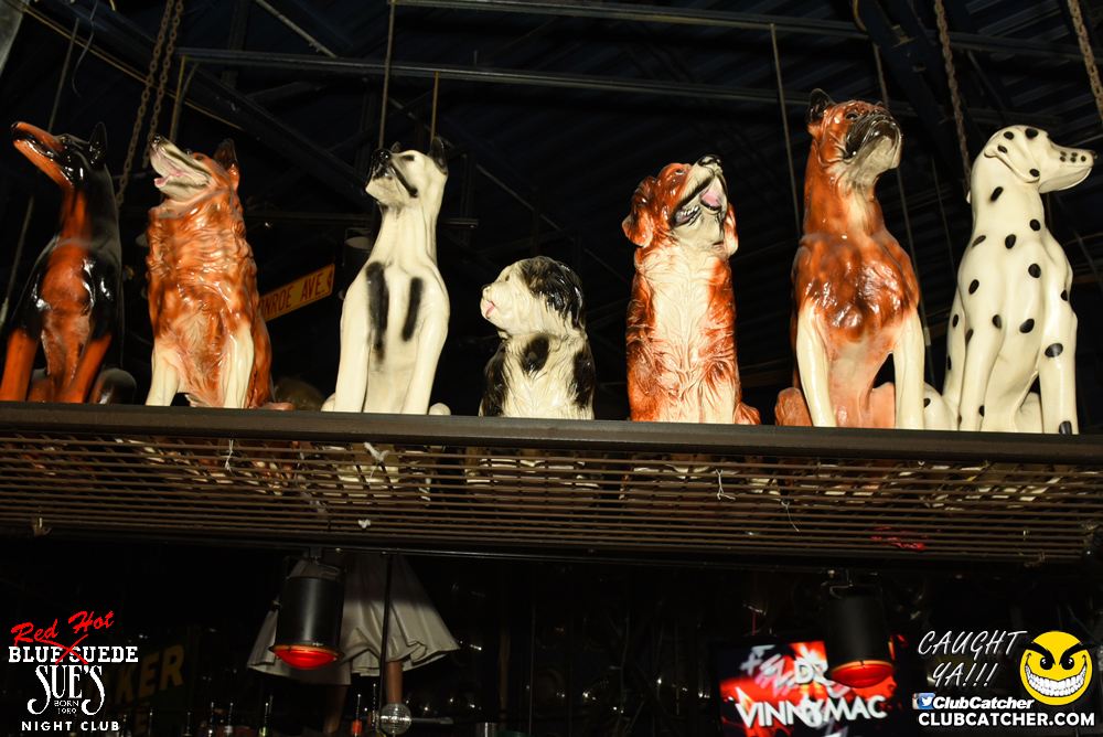 Blue Suede Sues nightclub photo 161 - February 18th, 2017