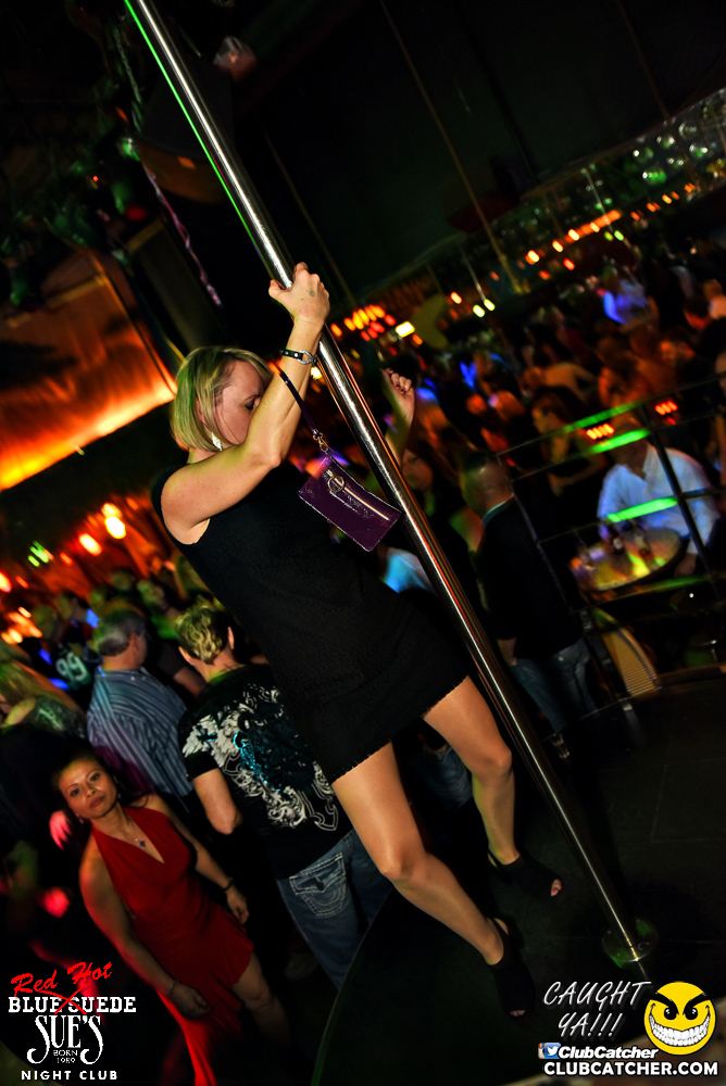 Blue Suede Sues nightclub photo 39 - February 18th, 2017