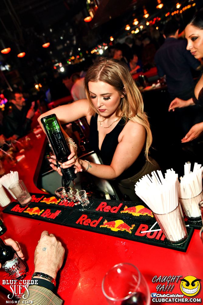 Blue Suede Sues nightclub photo 73 - February 18th, 2017