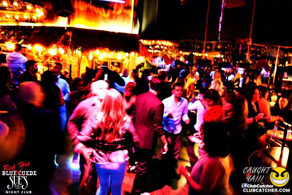 Blue Suede Sues nightclub photo 57 - March 3rd, 2017