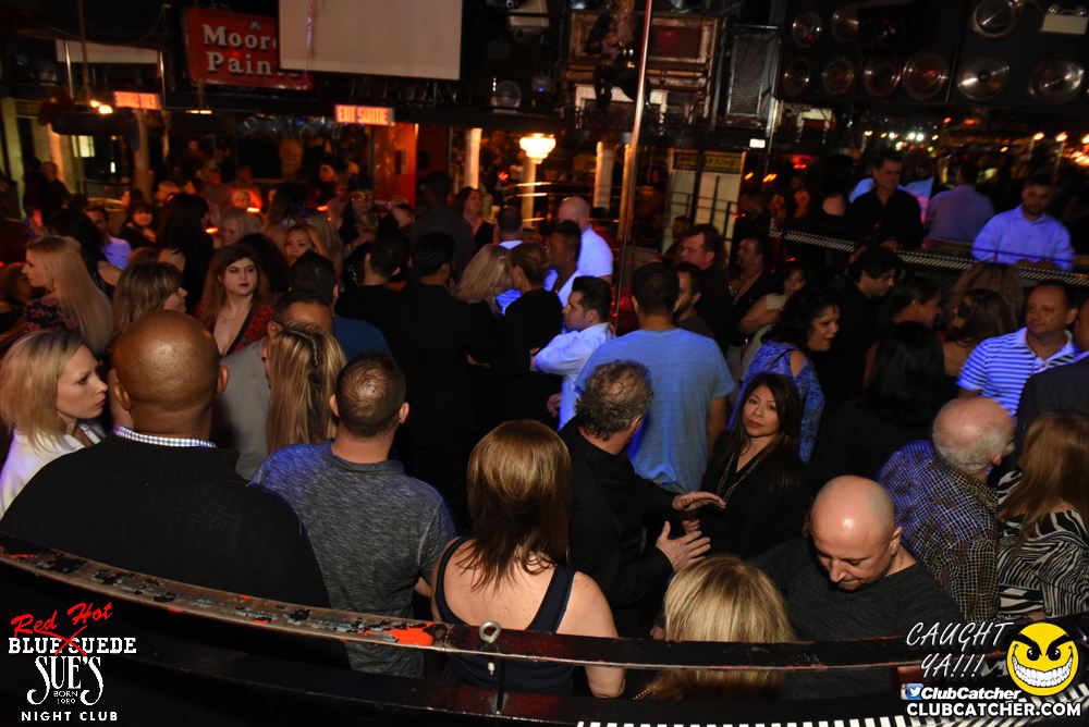 Blue Suede Sues nightclub photo 72 - March 3rd, 2017