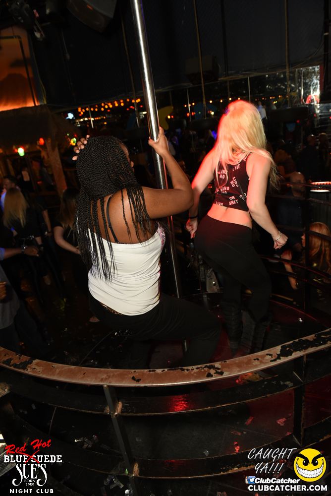 Blue Suede Sues nightclub photo 110 - March 10th, 2017