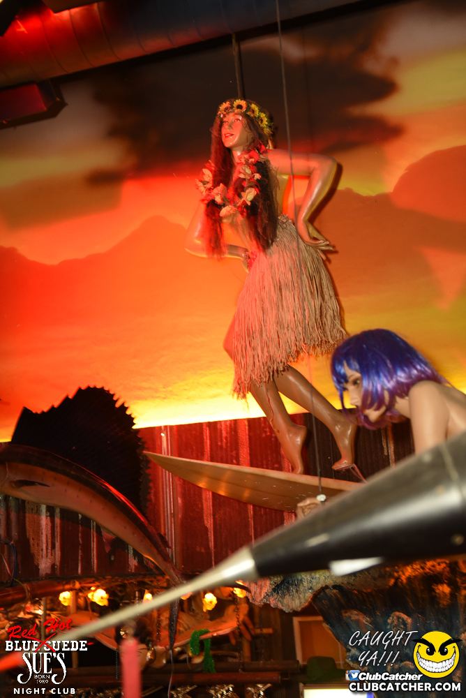 Blue Suede Sues nightclub photo 71 - March 10th, 2017