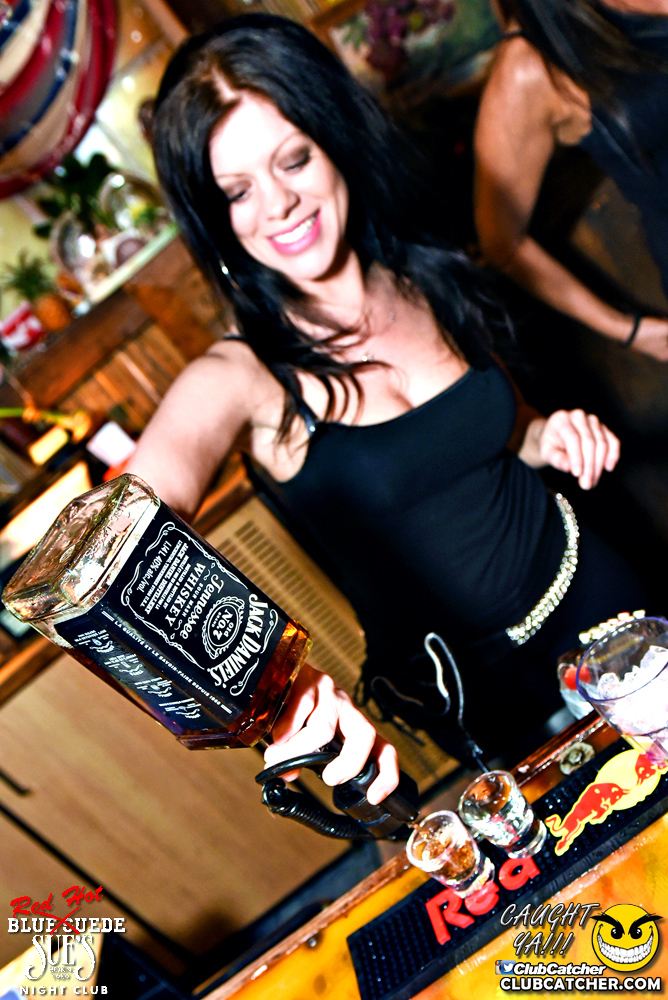 Blue Suede Sues nightclub photo 79 - March 10th, 2017