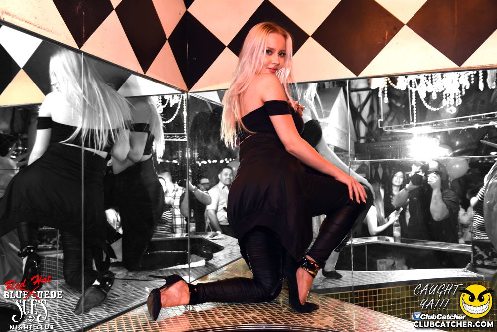 Blue Suede Sues nightclub photo 68 - March 24th, 2017