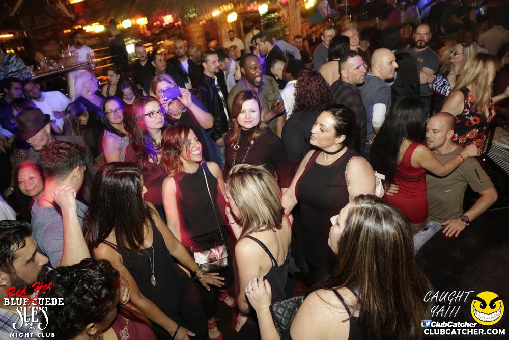 Blue Suede Sues nightclub photo 67 - April 1st, 2017