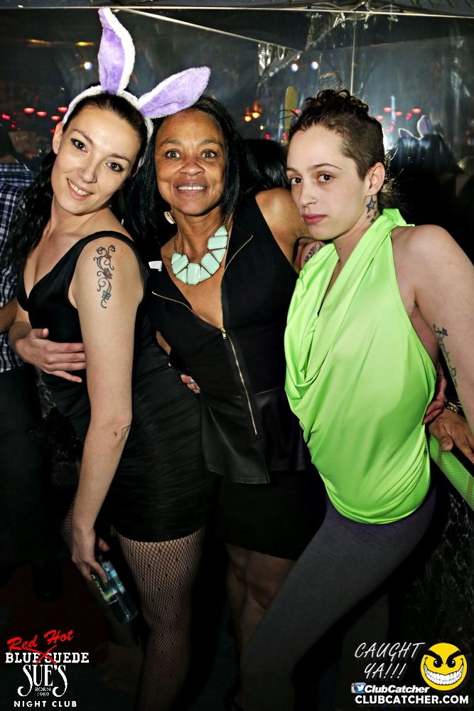 Blue Suede Sues nightclub photo 249 - April 13th, 2017