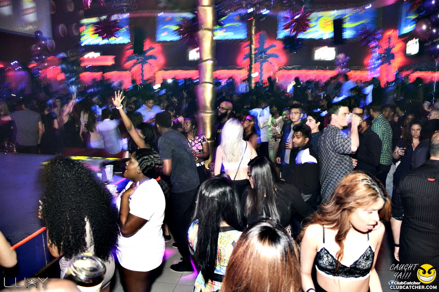 Luxy nightclub photo 82 - May 20th, 2017