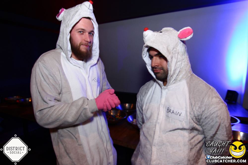 District Social lounge photo 110 - October 27th, 2017