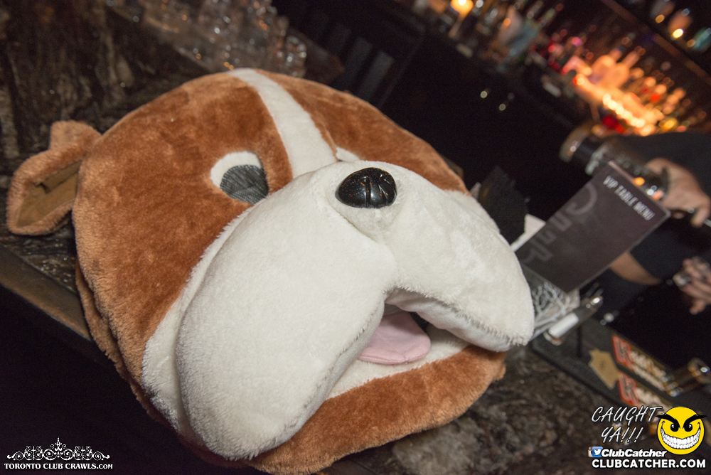 Club Crawl party venue photo 114 - October 28th, 2017