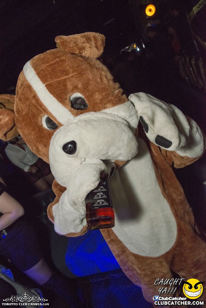 Club Crawl party venue photo 184 - October 28th, 2017