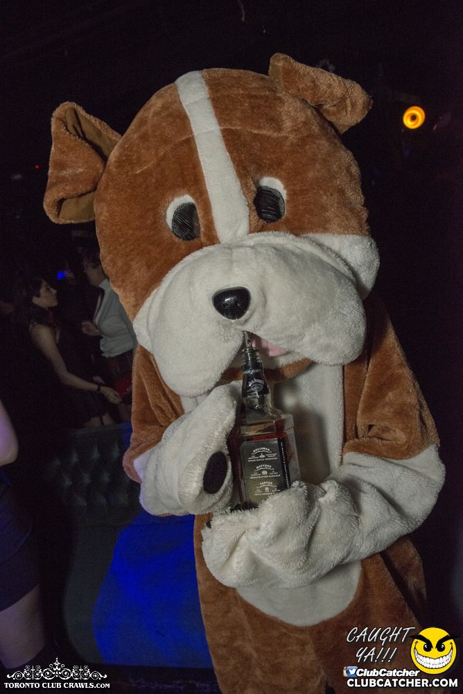 Club Crawl party venue photo 191 - October 28th, 2017