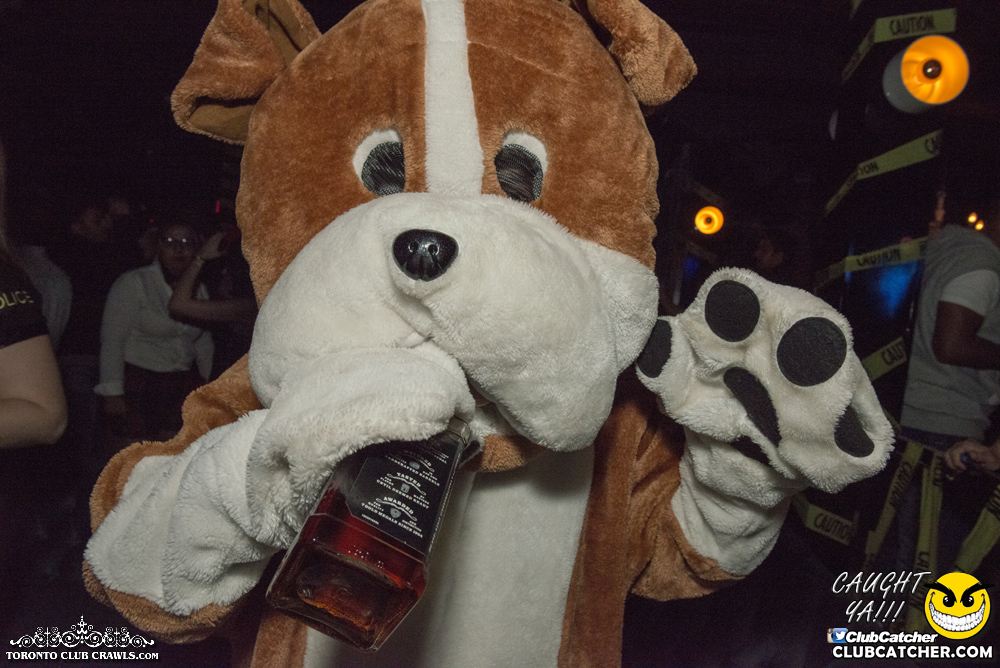 Club Crawl party venue photo 193 - October 28th, 2017