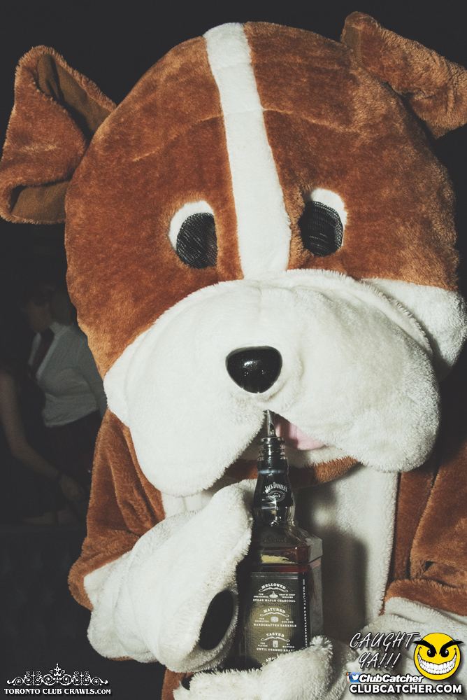 Club Crawl party venue photo 214 - October 28th, 2017