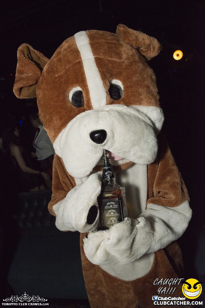 Club Crawl party venue photo 220 - October 28th, 2017